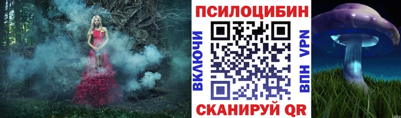 где продают   Таруса  ОМГ ОМГ вход  Галлюциногенные грибы ЛСД 
